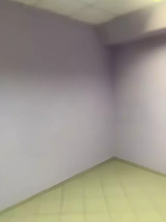 Помещение свободного назначения в Московская область, Дмитров ... - Фото 1