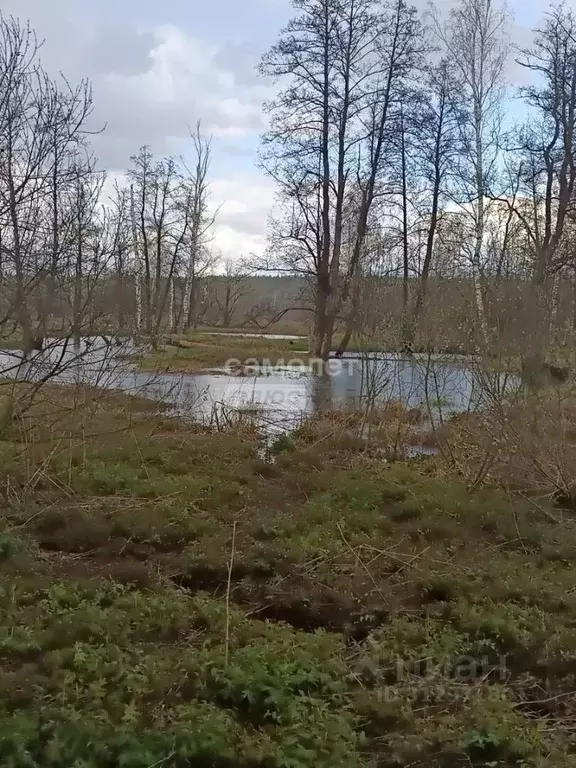 Участок в Московская область, Орехово-Зуевский городской округ, д. ... - Фото 1