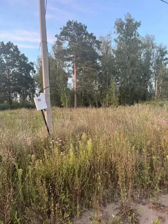 Участок в Алтайский край, Первомайский район, Бобровский сельсовет, ... - Фото 0