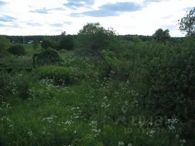 Участок в Московская область, Чехов муниципальный округ, д. Волосово ... - Фото 1