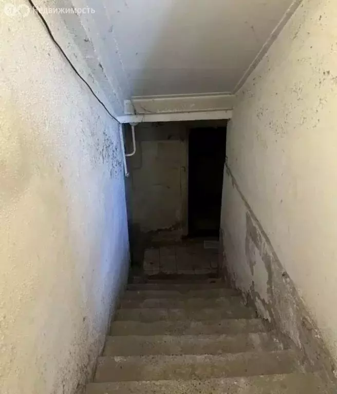 Помещение свободного назначения (60 м) - Фото 2