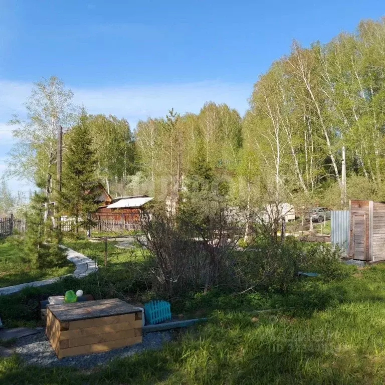 Дом в Новосибирская область, Новосибирский район, Каменский сельсовет, ... - Фото 1