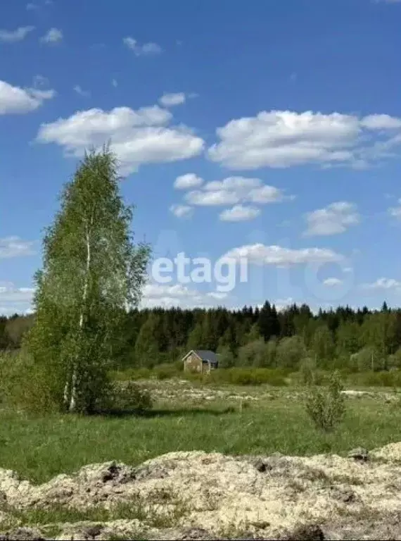 Участок в Ленинградская область, Всеволожск ул. Ольги Берггольц (8.95 ... - Фото 0