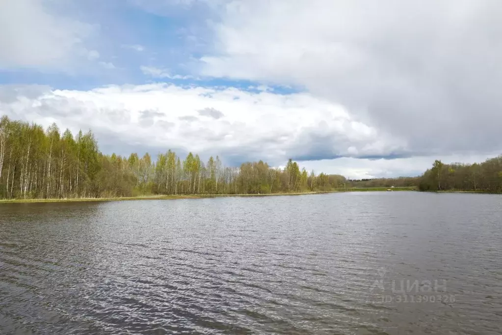 Участок в Московская область, Истра городской округ, Поляны кп  (15.0 ... - Фото 0