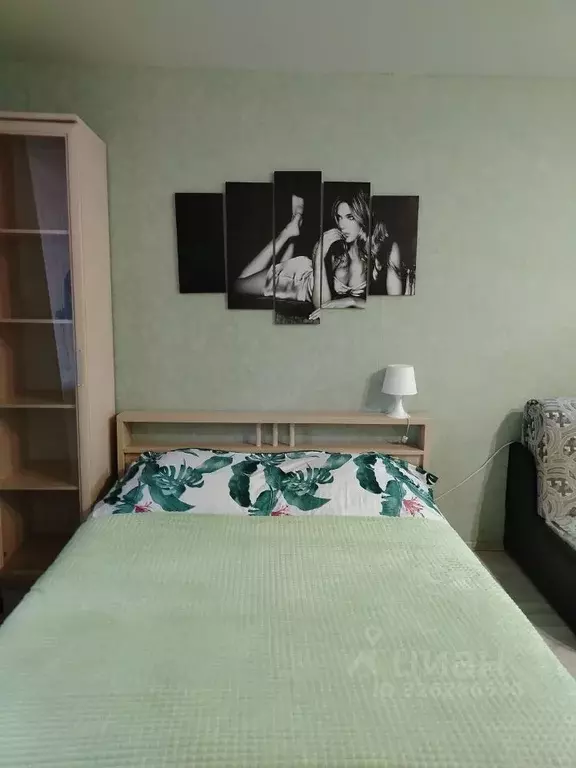 Студия Московская область, Ногинск Богородский городской округ, ул. ... - Фото 2