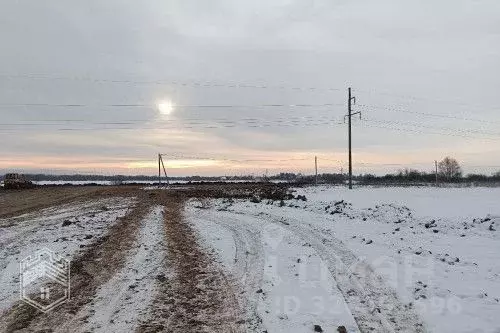 Участок в Новгородская область, Новгородский район, Савинское с/пос, ... - Фото 1