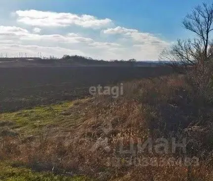 Участок в Белгородская область, Белгородский район, Поселок Разумное ... - Фото 0