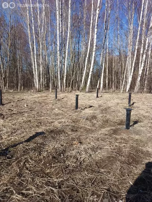 Участок в Московская область, городской округ Клин, деревня Русино (12 ... - Фото 0