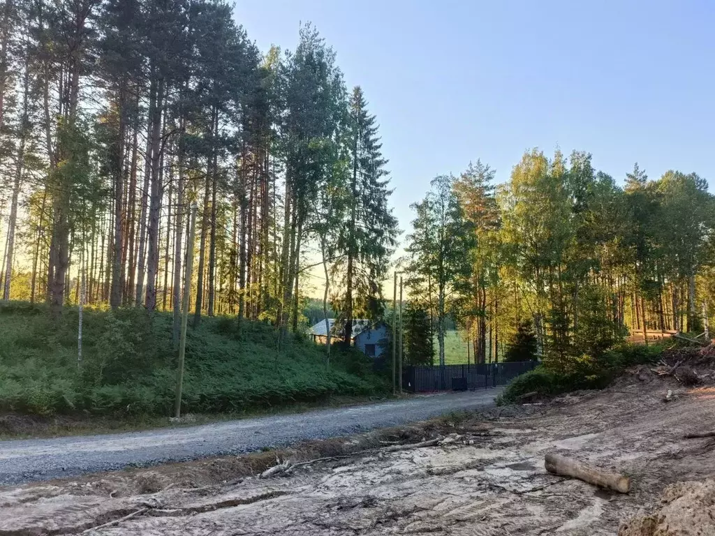 Участок в Ленинградская область, Всеволожский район, Куйвозовское ... - Фото 0