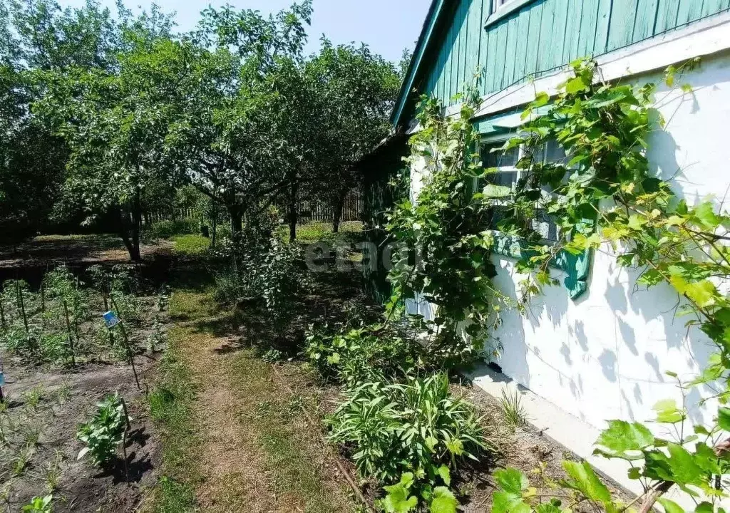 участок в ульяновская область, ульяновск белый ключ-1 снт, (4.0 сот.) - Фото 0