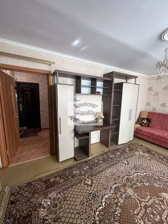 1-к кв. Крым, Саки ул. Интернациональная, 41 (35.1 м) - Фото 1