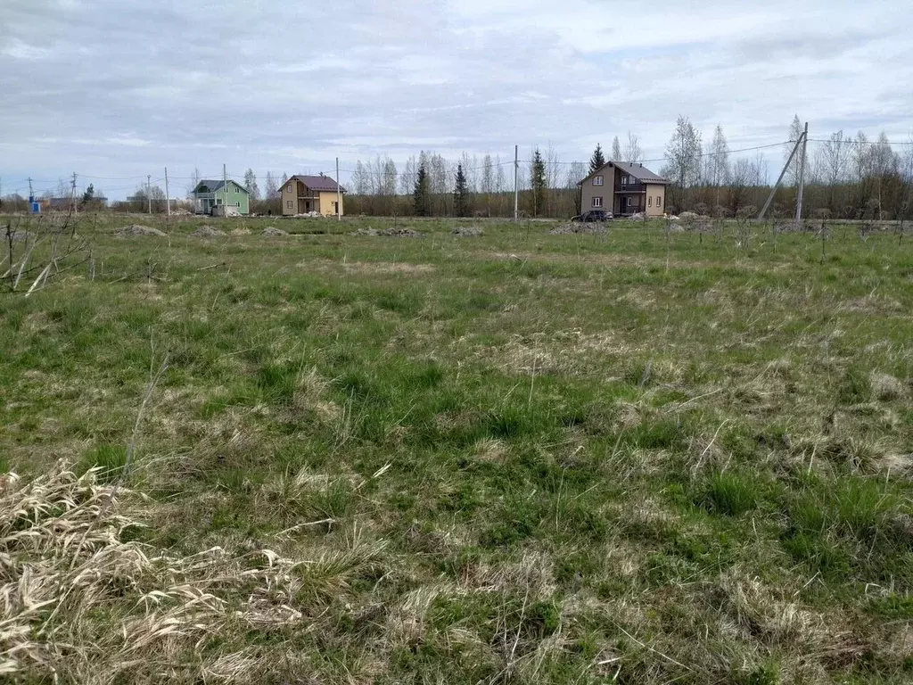 Участок в Ленинградская область, Тосненский район, Федоровское ... - Фото 1