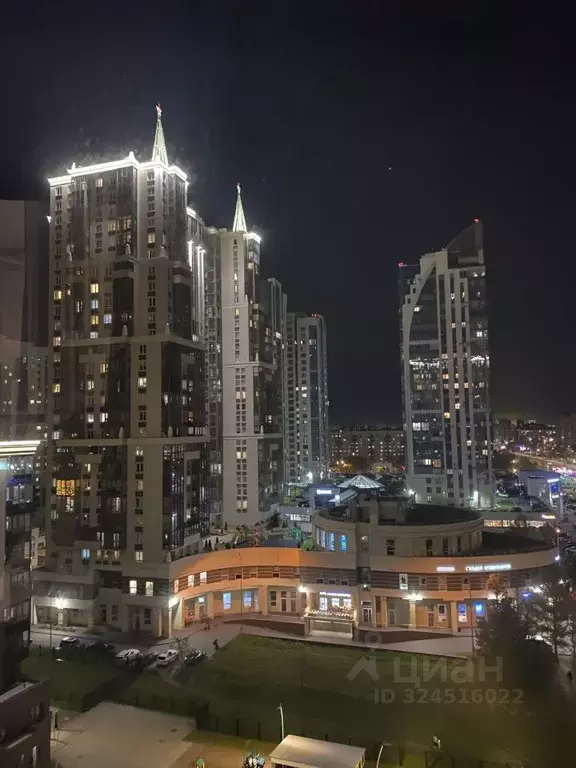 Студия Санкт-Петербург ул. Типанова, 23с1 (23.0 м) - Фото 2