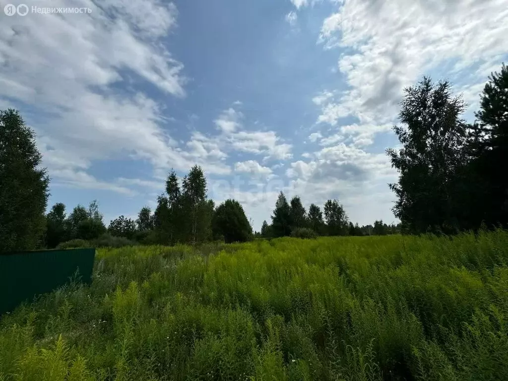 Участок в Нижегородская область, Городецкий муниципальный округ, ... - Фото 1