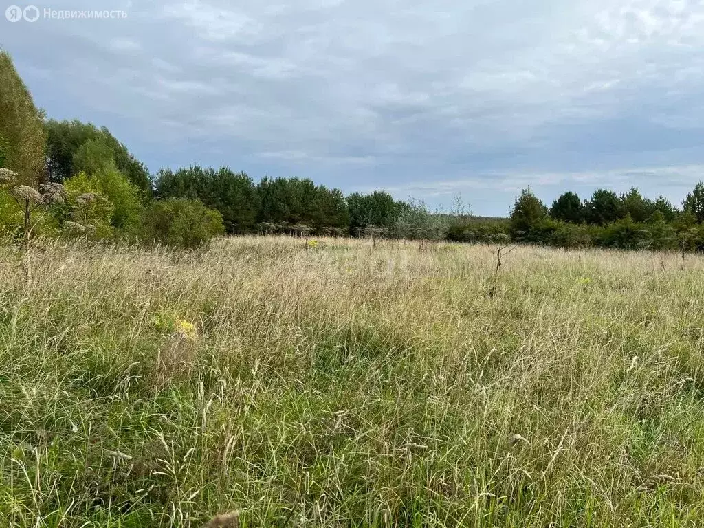 Участок в Заячье-Холмское сельское поселение, село Унимерь (44.8 м) - Фото 1