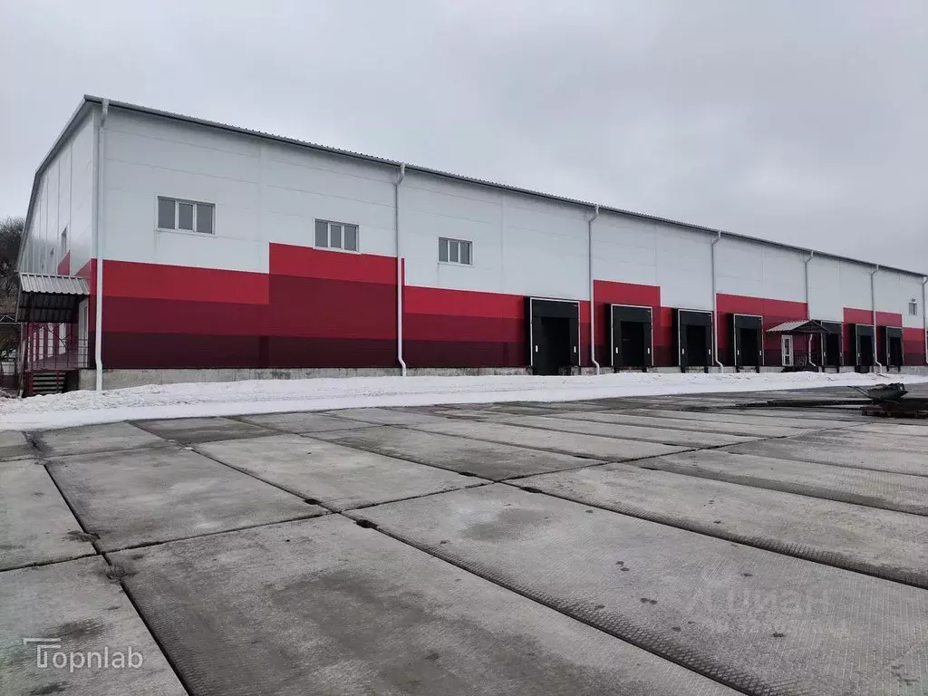 Помещение свободного назначения в Алтайский край, Барнаул ул. ... - Фото 1