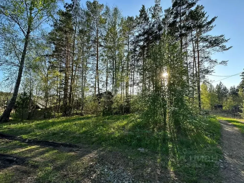 Участок в Новосибирская область, Новосибирский район, с. Кубовая, ... - Фото 0