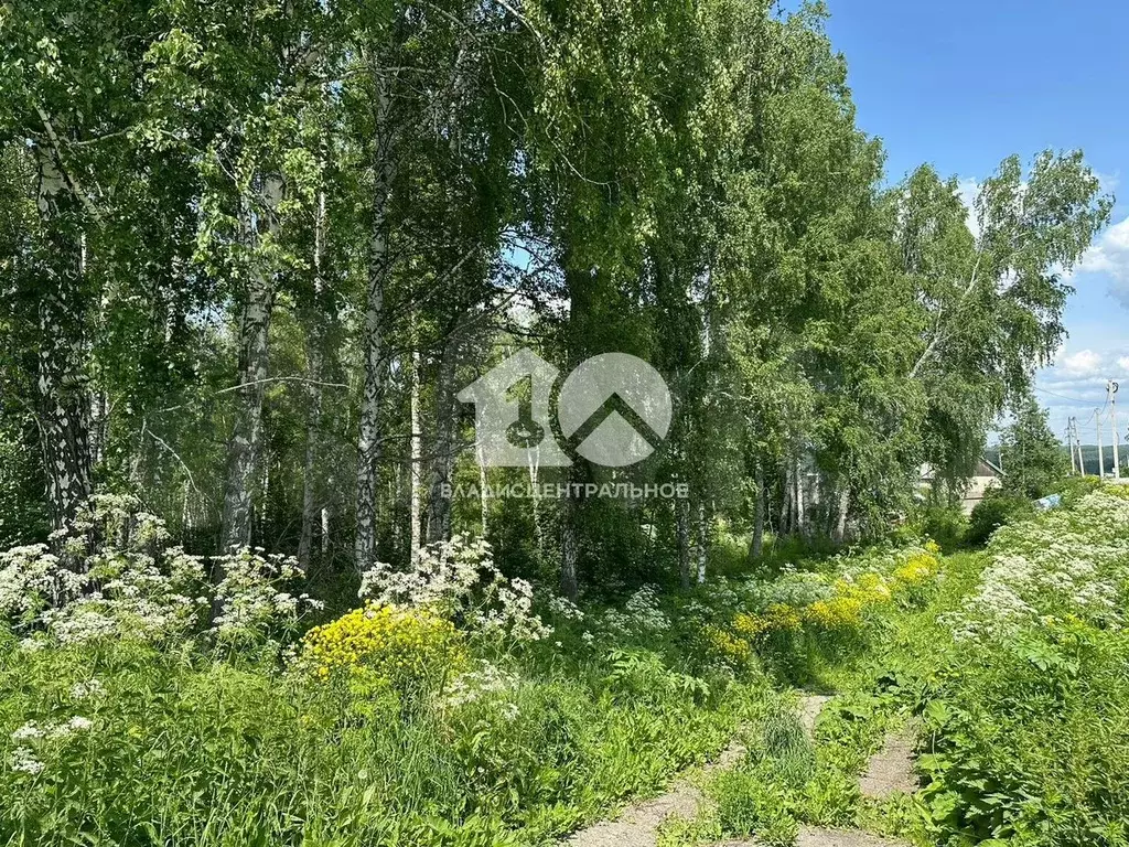 Участок 20 сот. (ИЖС) - Фото 1