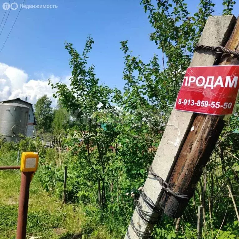 Участок в Томский район, Богашёвское сельское поселение, деревня ... - Фото 0