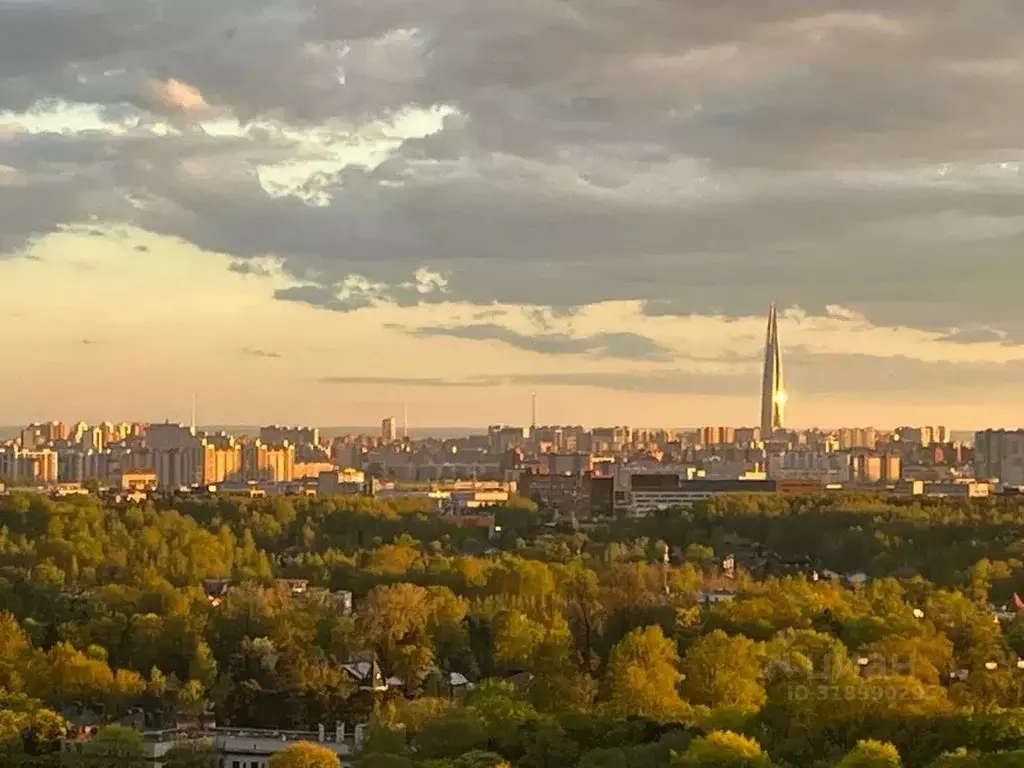 3-к кв. Санкт-Петербург ул. Композиторов, 12 (94.0 м) - Фото 0