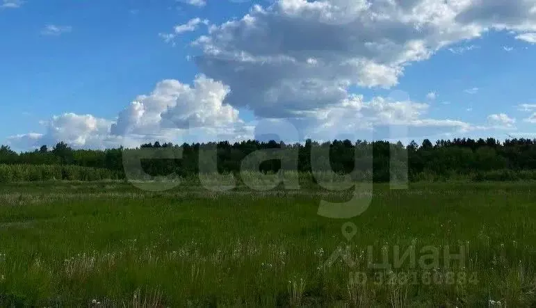 Участок в Тюменская область, Ялуторовский муниципальный округ, Березка ... - Фото 2