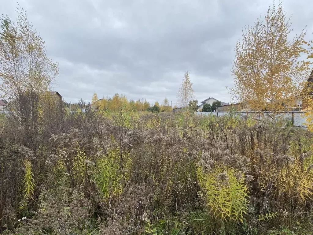 Участок в Московская область, Луховицы муниципальный округ, с. Матыра  ... - Фото 2