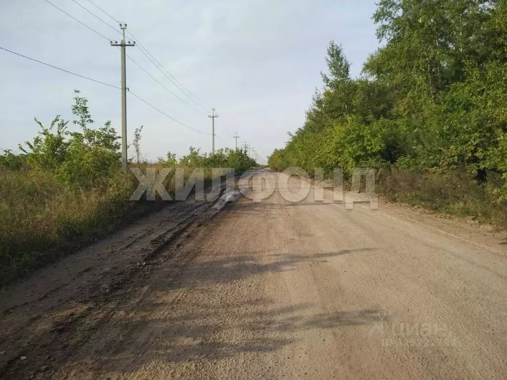 Участок в Новосибирская область, Искитимский район, пос. ... - Фото 2