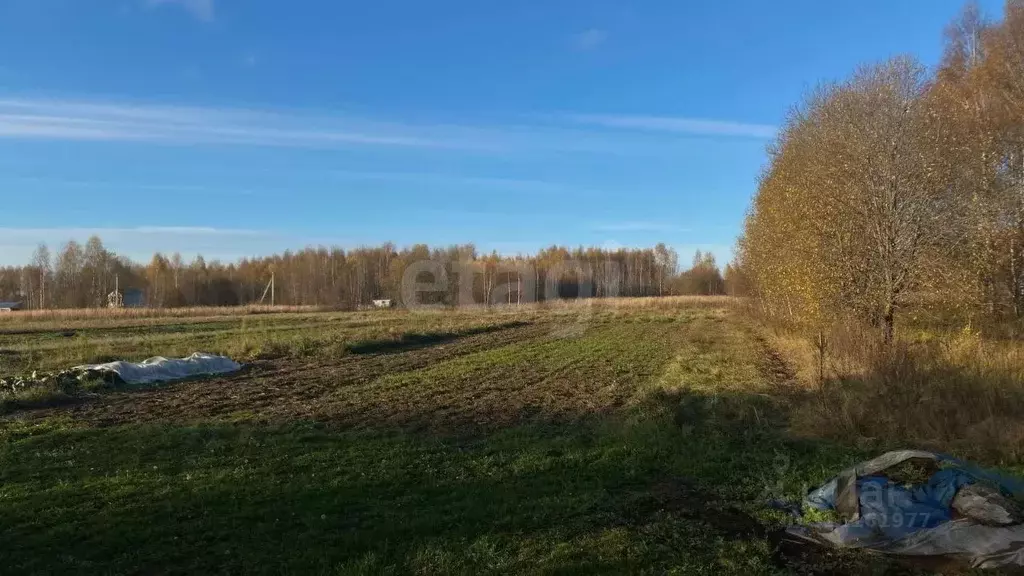 Участок в Костромская область, Красносельский район, Шолоховское ... - Фото 1