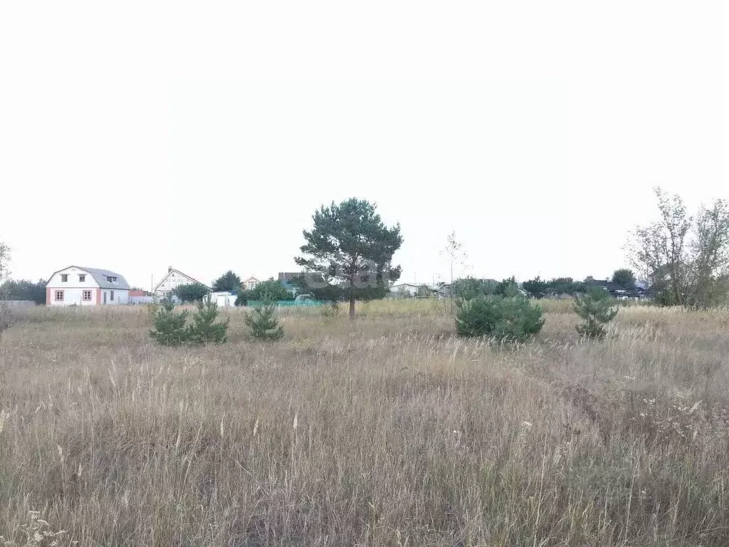 Участок в Воронежская область, Воронеж ул. Большая Советская (8.0 ... - Фото 0