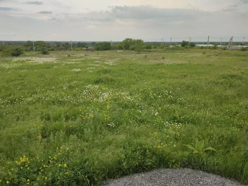 Участок в Краснодарский край, Абинский район, Ахтырское городское ... - Фото 1