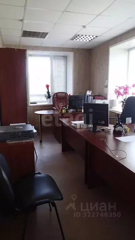 Дом в Амурская область, Благовещенск городской округ, с. Садовое ул. ... - Фото 1