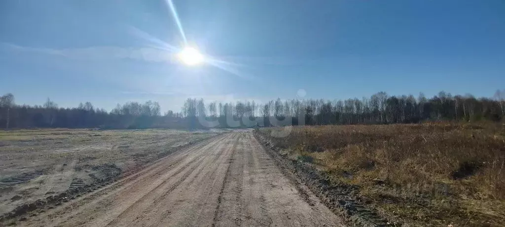 Участок в Тюменская область, Нижнетавдинский муниципальный округ, ... - Фото 1