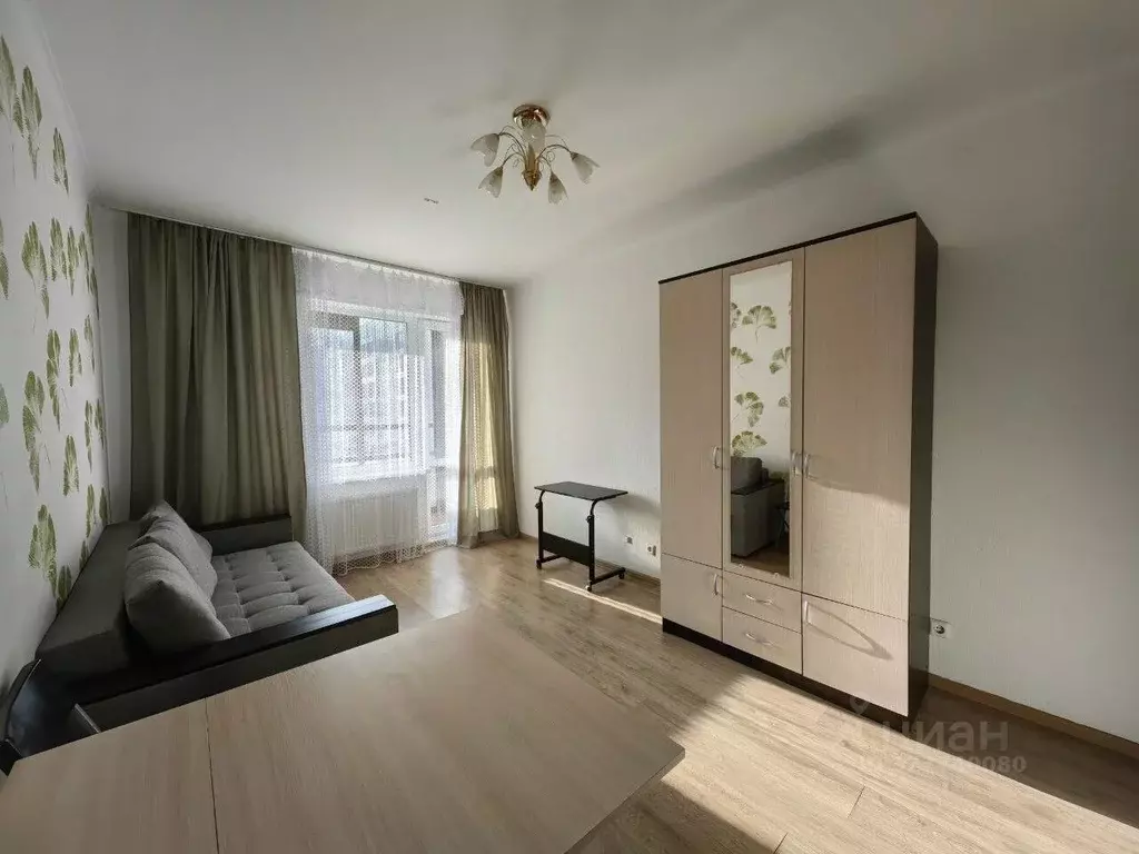 Студия Санкт-Петербург просп. Ветеранов, 169к3 (23.6 м) - Фото 1