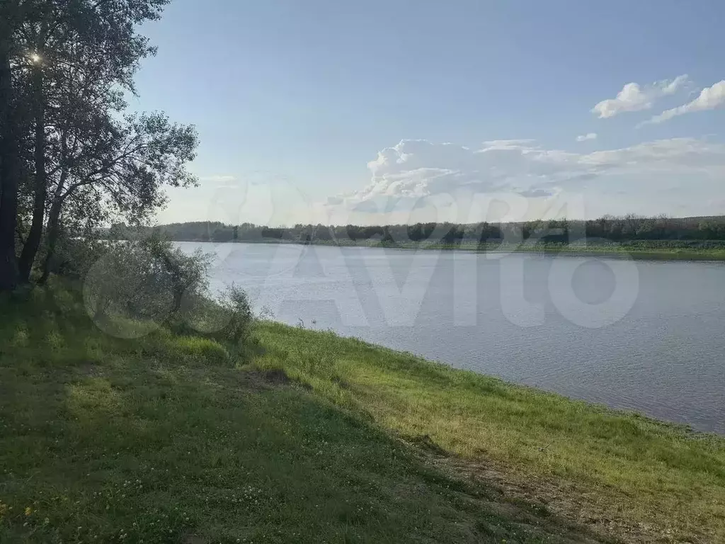 Участок 12 сот. (СНТ, ДНП) - Фото 1