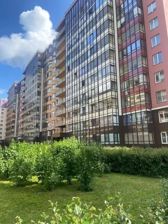 1-к кв. Санкт-Петербург ул. Летчика Лихолетова, 14к2 (32.0 м) - Фото 1