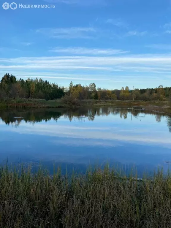 Участок в Свердловская область, муниципальный округ Нижний Тагил, село ... - Фото 1