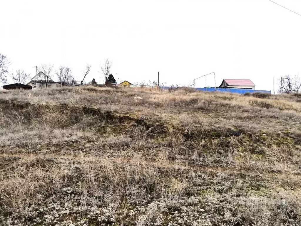 Участок в Волгоградская область, Городищенский район, Паньшинское ... - Фото 1