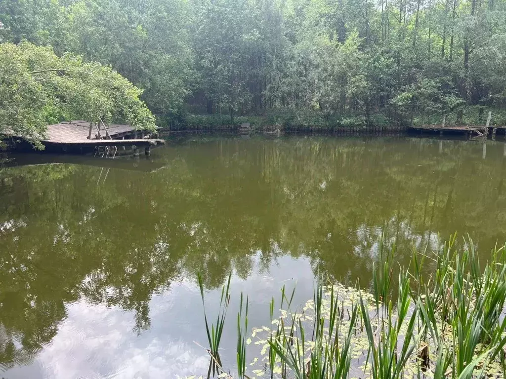 Участок в Московская область, Одинцовский городской округ, пос. НИИ ... - Фото 1