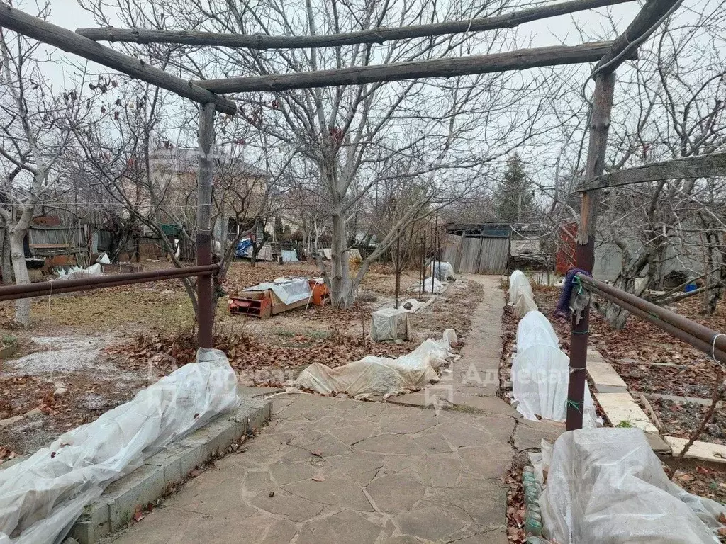 Дом в Волгоградская область, Волгоград ул. Джамбула Джабаева (36 м) - Фото 1