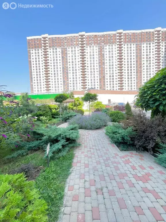 Квартира-студия: Новороссийск, Мысхакское шоссе, 59 (29.53 м) - Фото 2