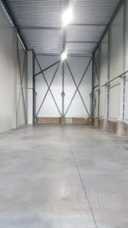 Склад в Нижегородская область, Нижний Новгород ул. Чаадаева, 1к1 (230 ... - Фото 2