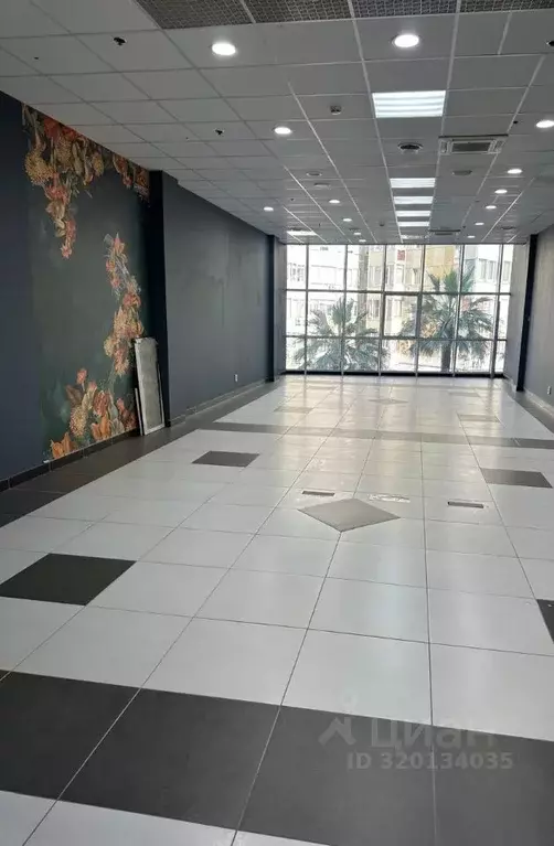 Помещение свободного назначения в Краснодарский край, Сочи Центральный ... - Фото 0