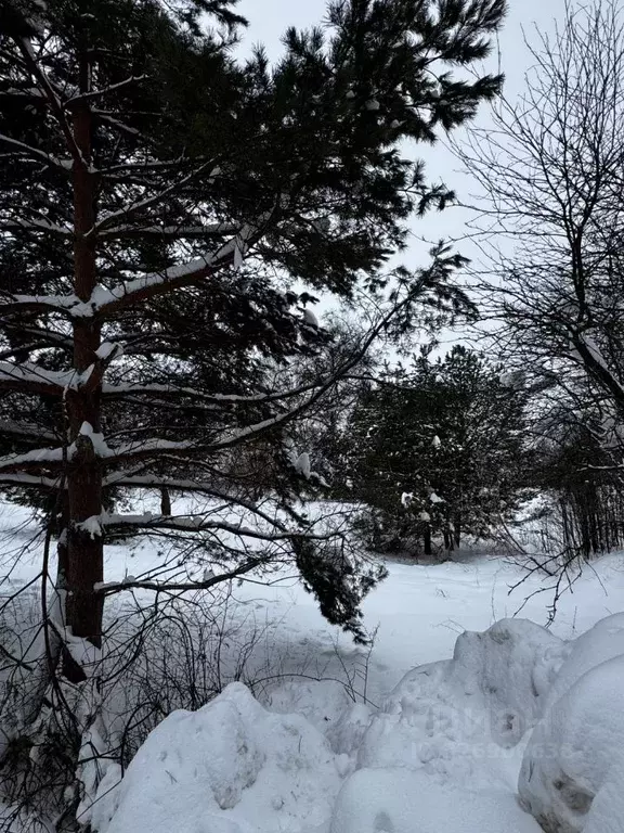 Участок в Московская область, Истра муниципальный округ, д. Чесноково  ... - Фото 1