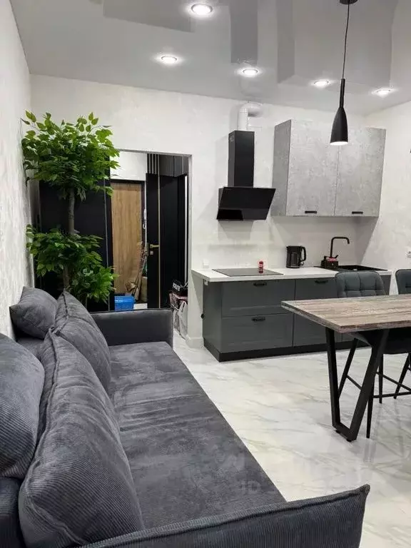 Студия Санкт-Петербург Богатырский просп., 2А (30.0 м) - Фото 2