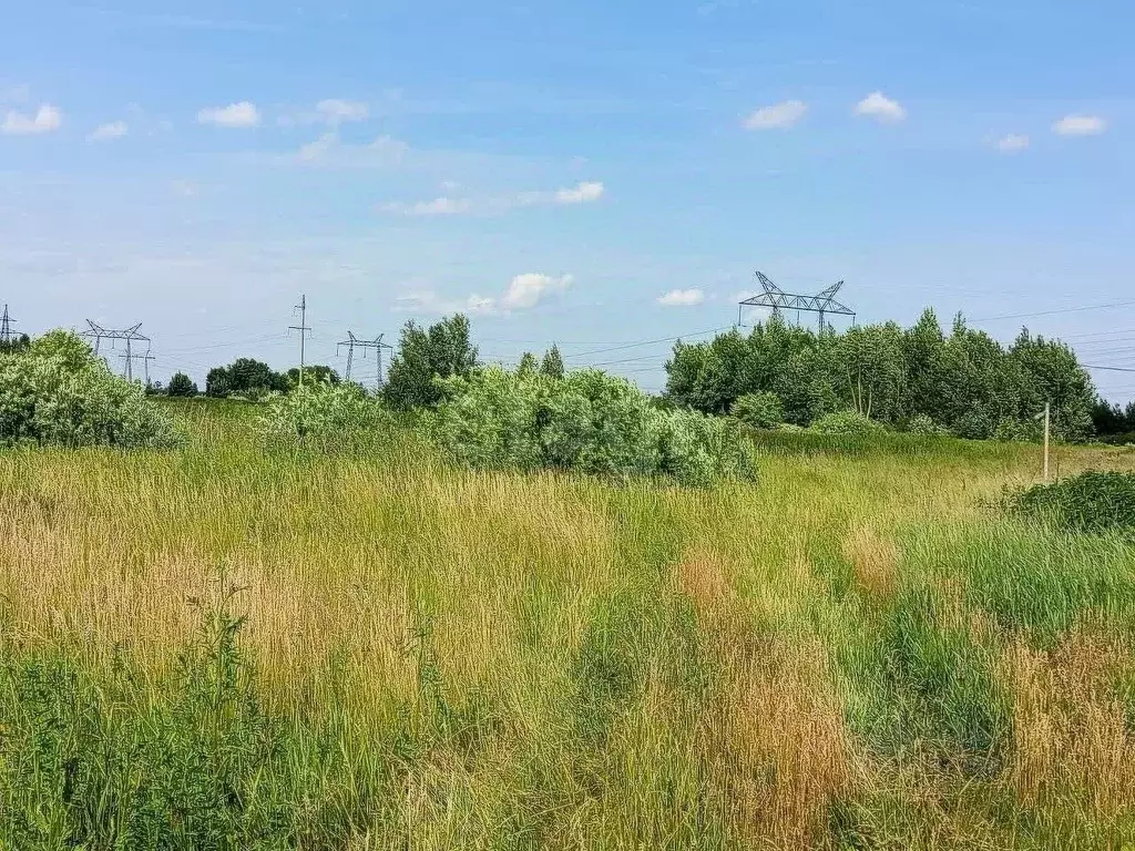 Участок в Тюменская область, Тюменский муниципальный округ, с. Борки ... - Фото 1