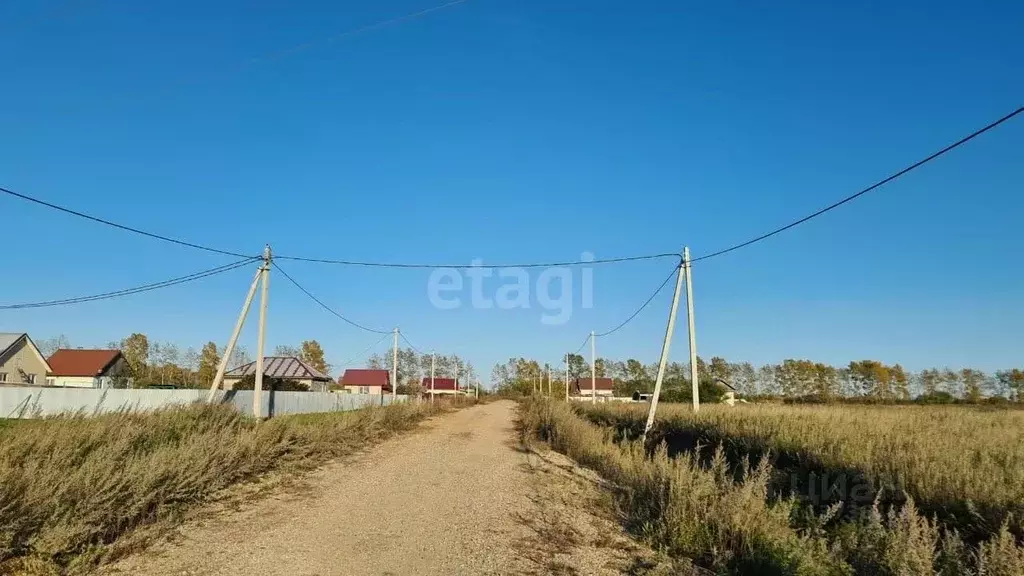 Участок в Амурская область, Благовещенский район, с. Грибское ул. ... - Фото 0