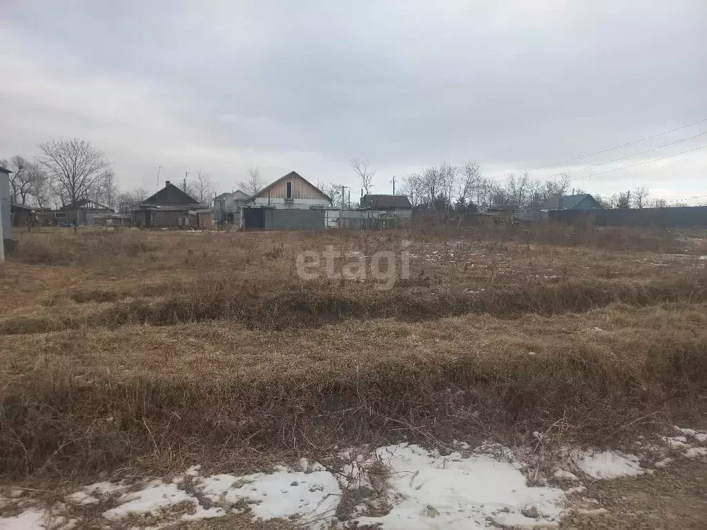 Участок в Приморский край, Артемовский городской округ, с. Кневичи ул. ... - Фото 0