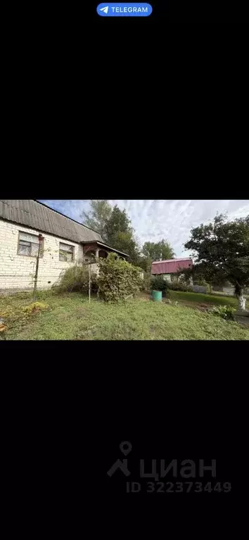 Дом в Брянская область, Брянский район, Мичуринское с/пос, Строитель ... - Фото 1