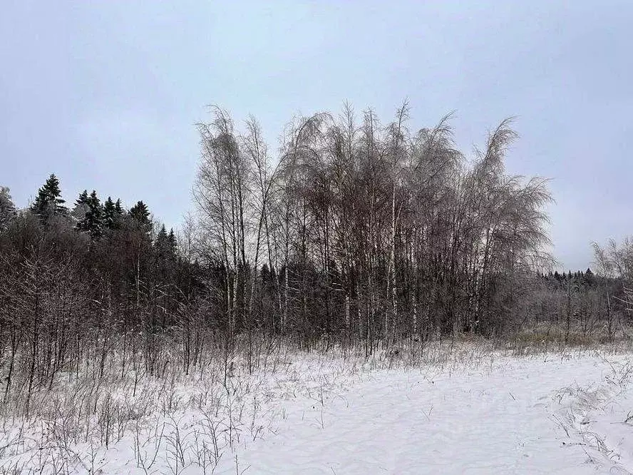 Участок в Московская область, Клин городской округ, д. Матвеево  ... - Фото 0