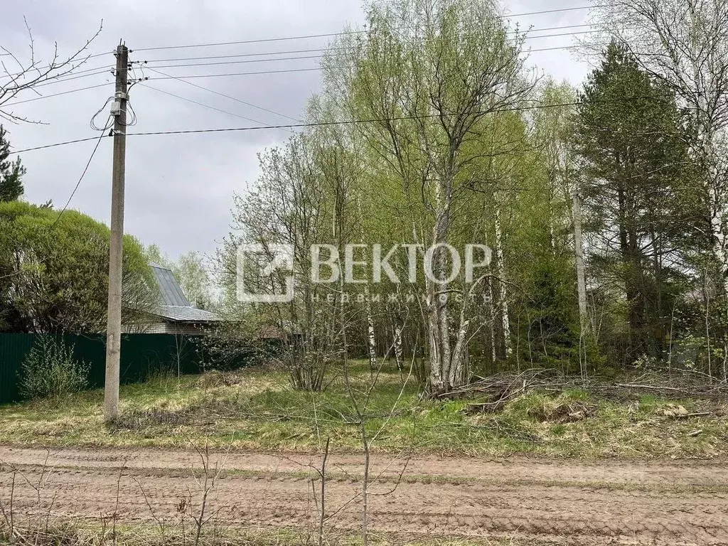 Участок в Ивановская область, Ивановский район, Балахонковское с/пос, ... - Фото 1